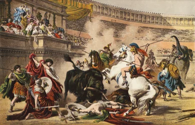 A Roman Bull Fight